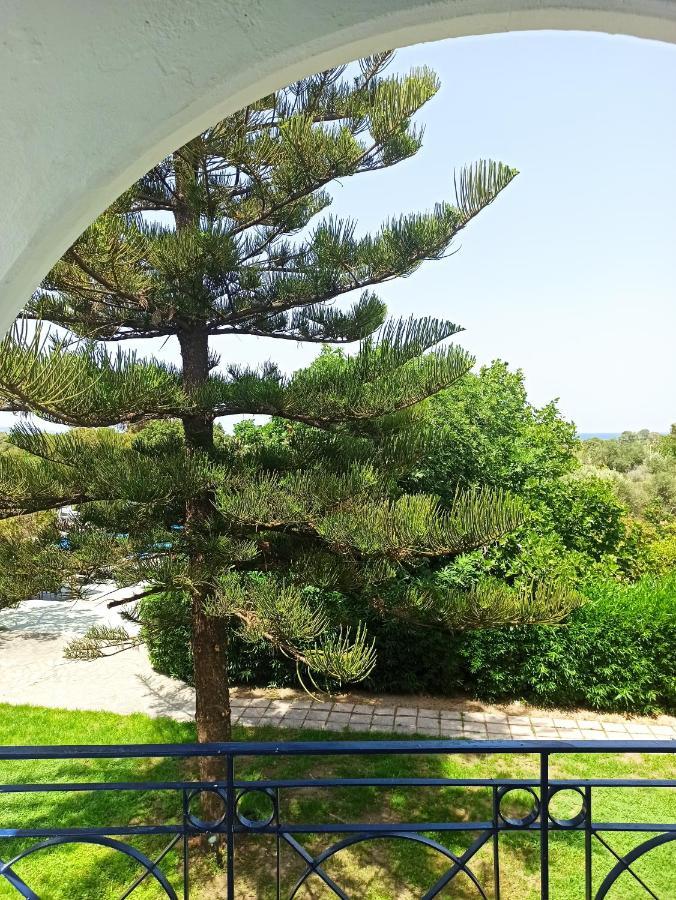 Theológos Summer Dream מראה חיצוני תמונה